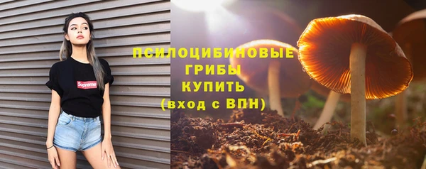 каннабис Михайловка