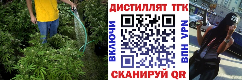 площадка состав  Завитинск  ТГК концентрат  как найти  