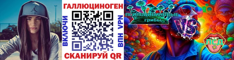 наркота  Завитинск  Псилоцибиновые грибы прущие грибы 